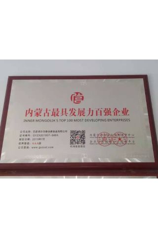 內蒙古較具發(fā)展力百強企業(yè)